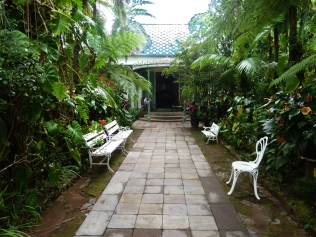 Vers la maison, nichée au coeur d'un luxuriant jardin tropical.